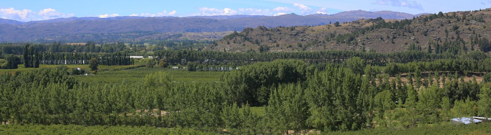 what-to-do-mid-banner-top Alexandra landscape