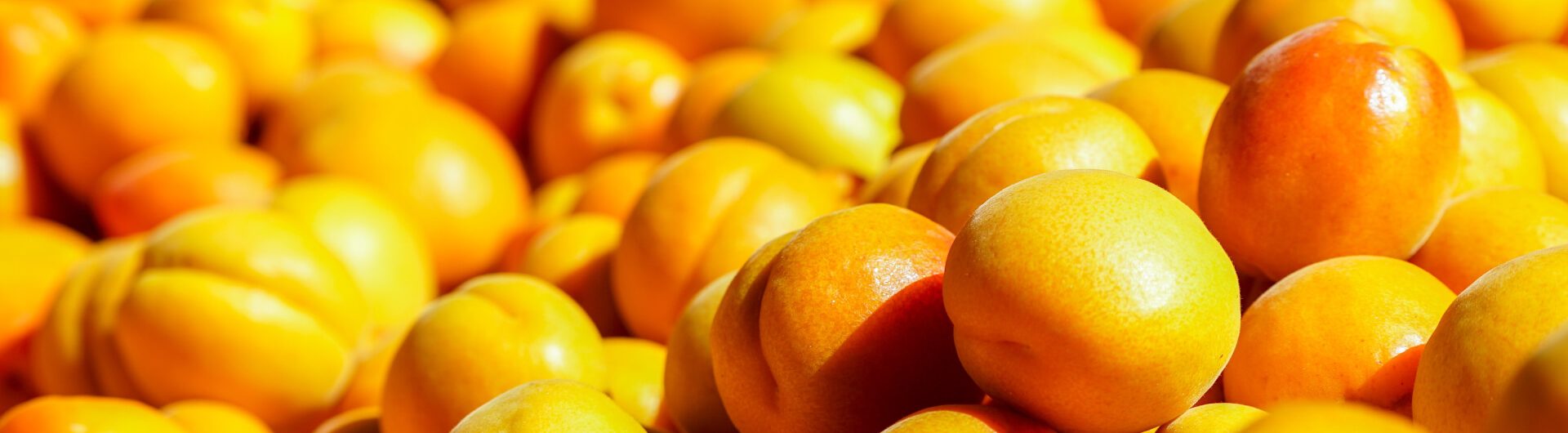 Apricots
