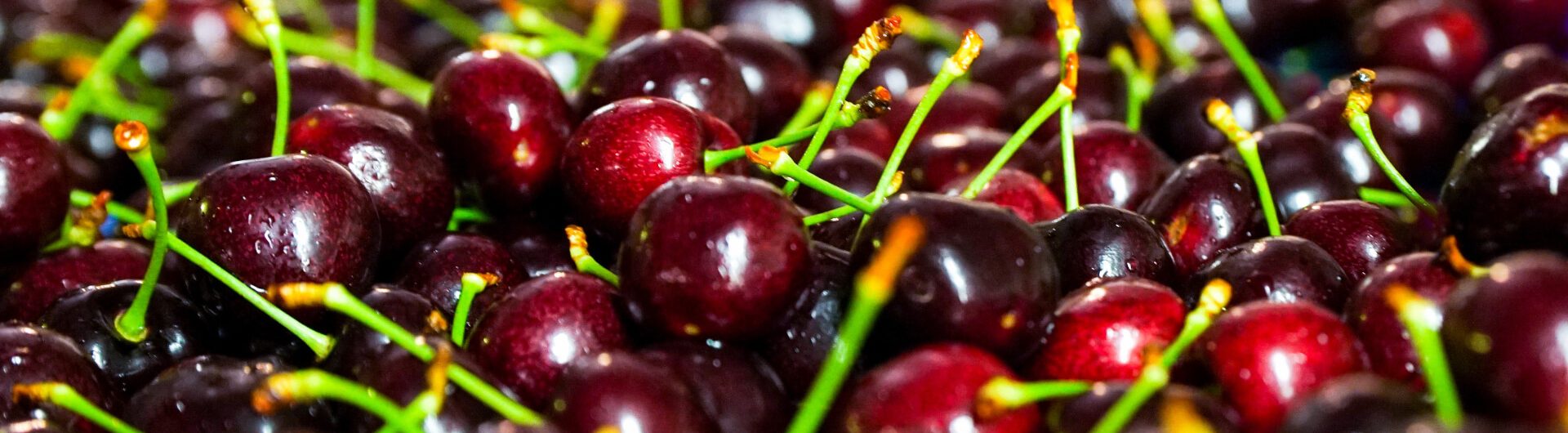 cherries 1920x600 Cherries