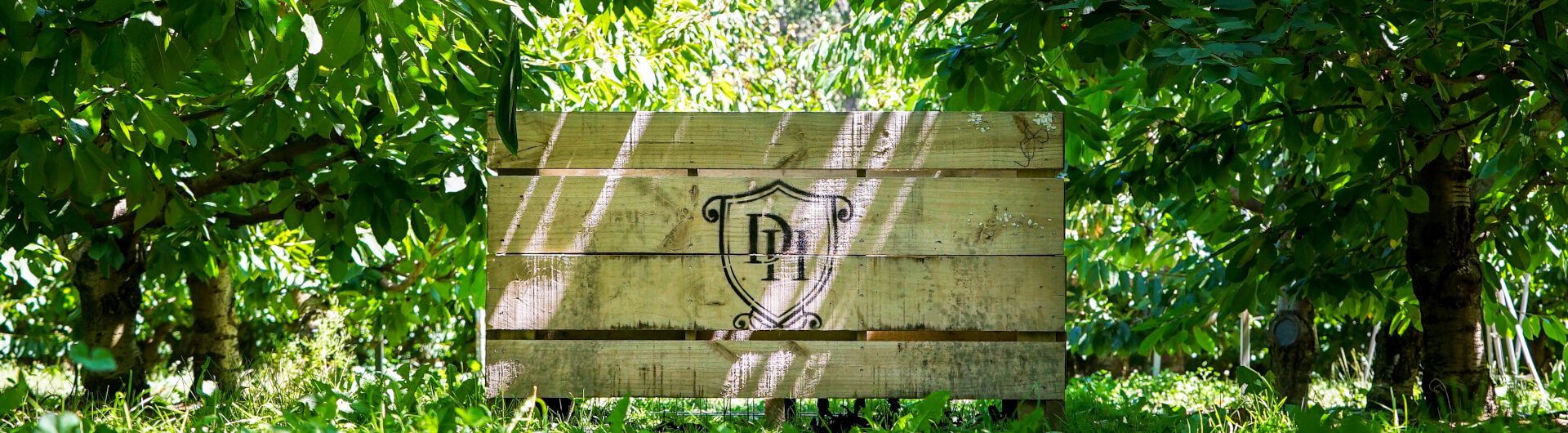 dh-box in trees 1920x600 Duncan Hills harvest bin